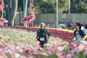 BIB: 
                            <button type="button" onclick="openModal(27344108)" class="btn btn-primary btn-sm float-right btn-popup" data-toggle="modal" data-target=".modal-high-quality">
                        <i class="fas fa-shopping-cart"></i> Add to Cart
                    </button>
                                            <button type="button" onclick="isThisMe(27344108, true)" class="btn btn-success btn-sm float-right btn-popup btn-isme hidden" data-toggle="tooltip" data-placement="bottom" title="นี่คือรูปของคุณใช่ไหม คลิกที่นี่เพื่อเอาเข้าอัลบั้ม">
                        <i class="fas fa-plus"></i> Add to album
                    </button>
                    <button type="button" onclick="isThisMe(27344108, false)" class="btn btn-warning btn-sm float-right btn-popup btn-isnotme hidden">
                        <i class="fas fa-ban"></i> Remove from album
                    </button>